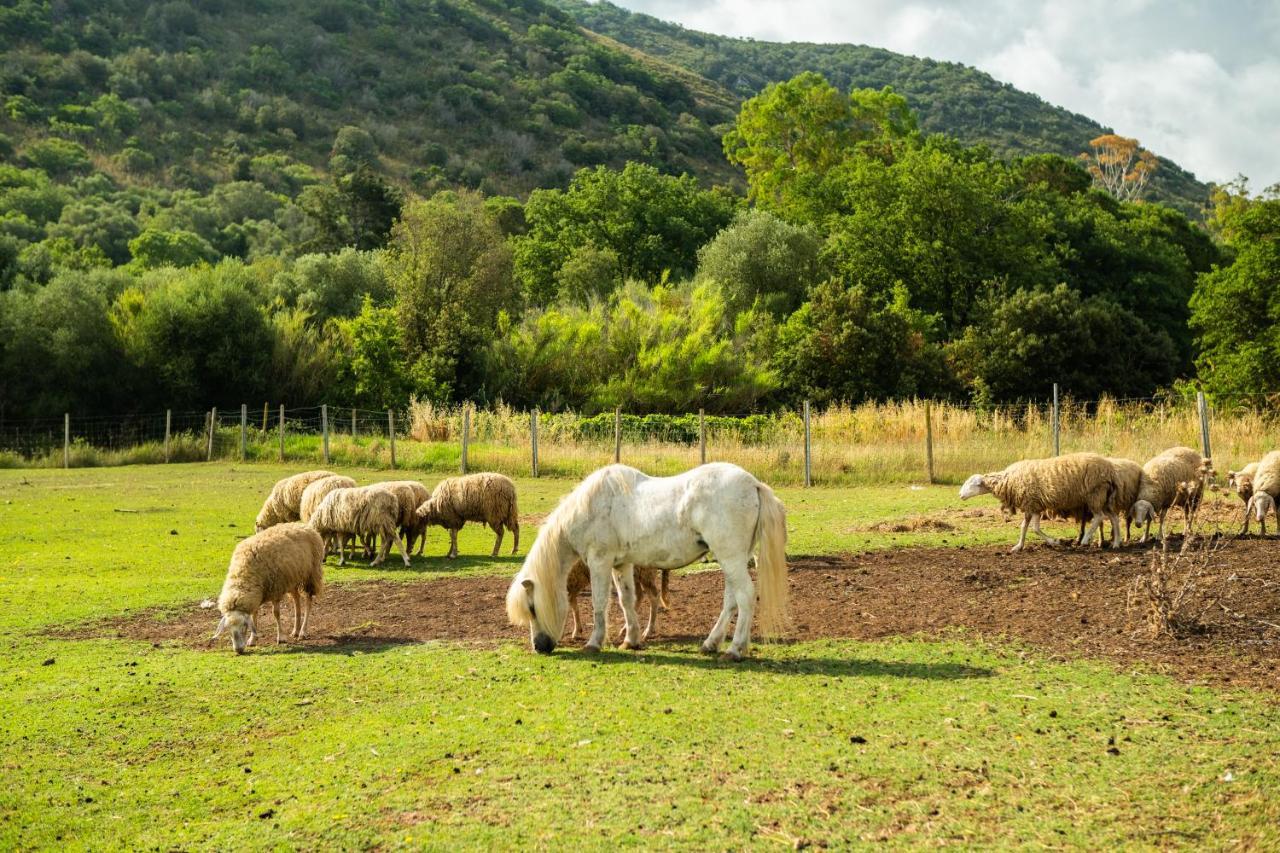 Antica Fattoria La Parrina Orbetello Exterior foto