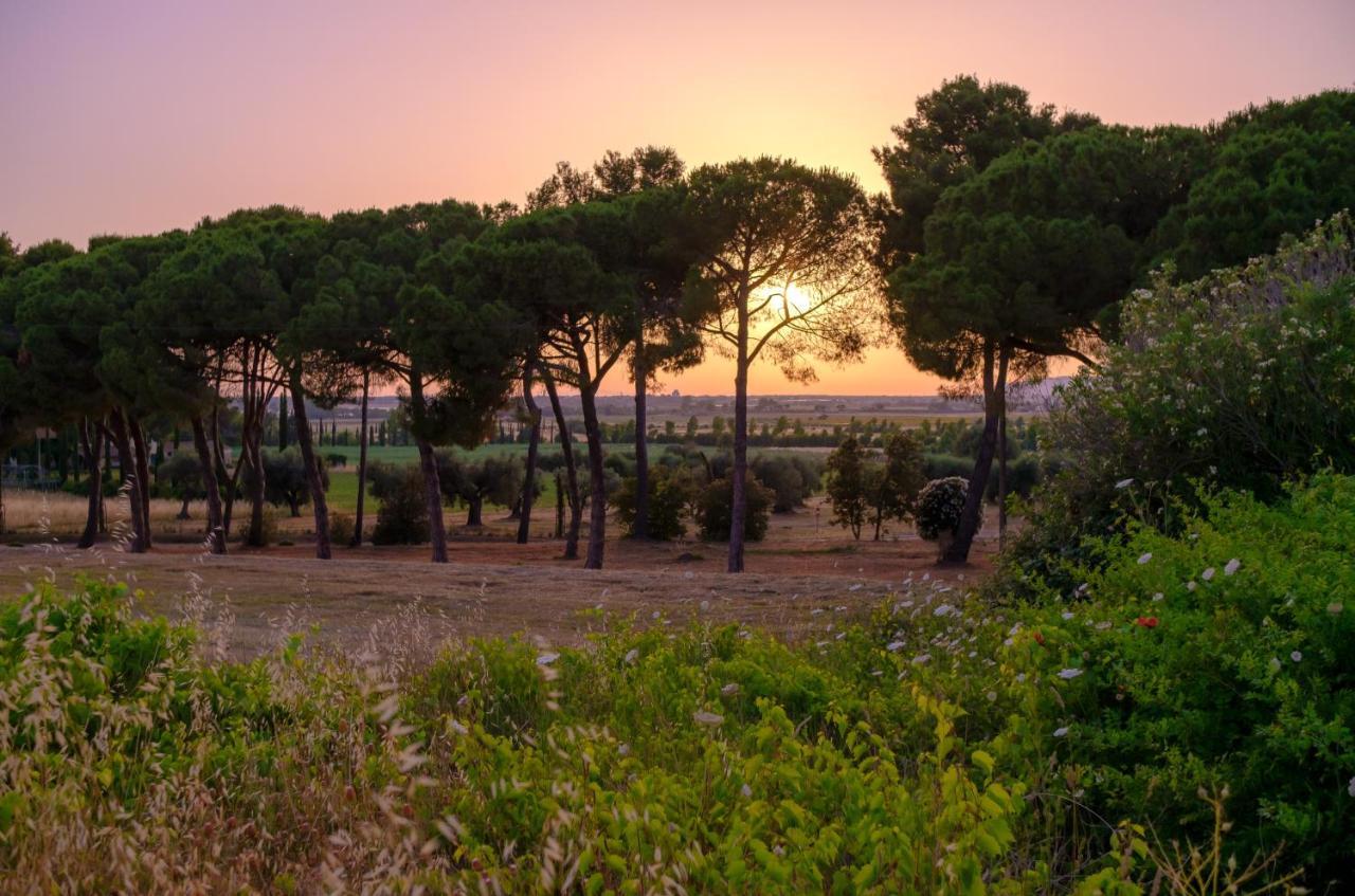 Antica Fattoria La Parrina Orbetello Exterior foto